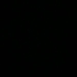 MOVING! NEED TO SELL